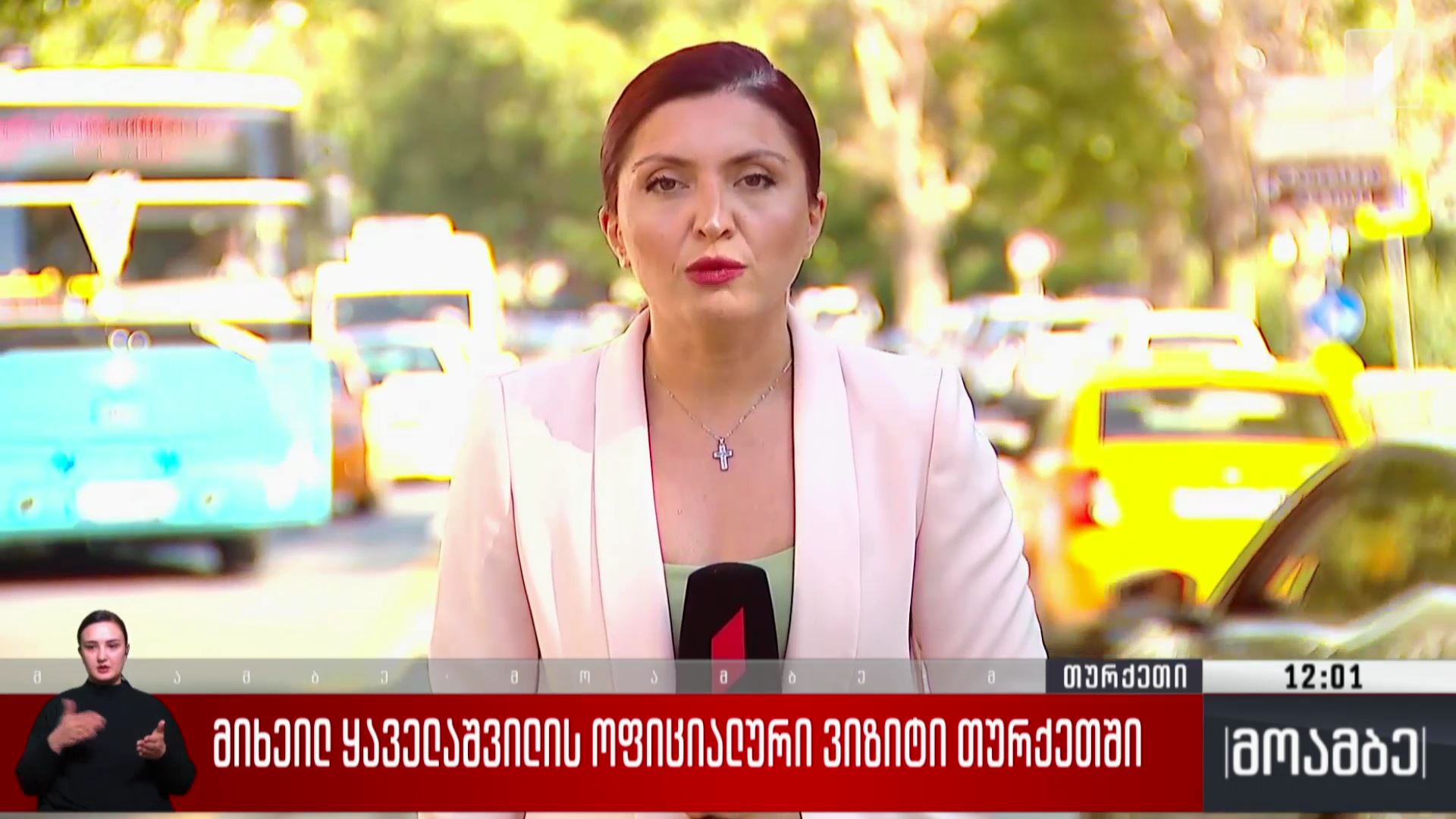 მიხეილ ყაველაშვილის ოფიციალური ვიზიტი თურქეთში