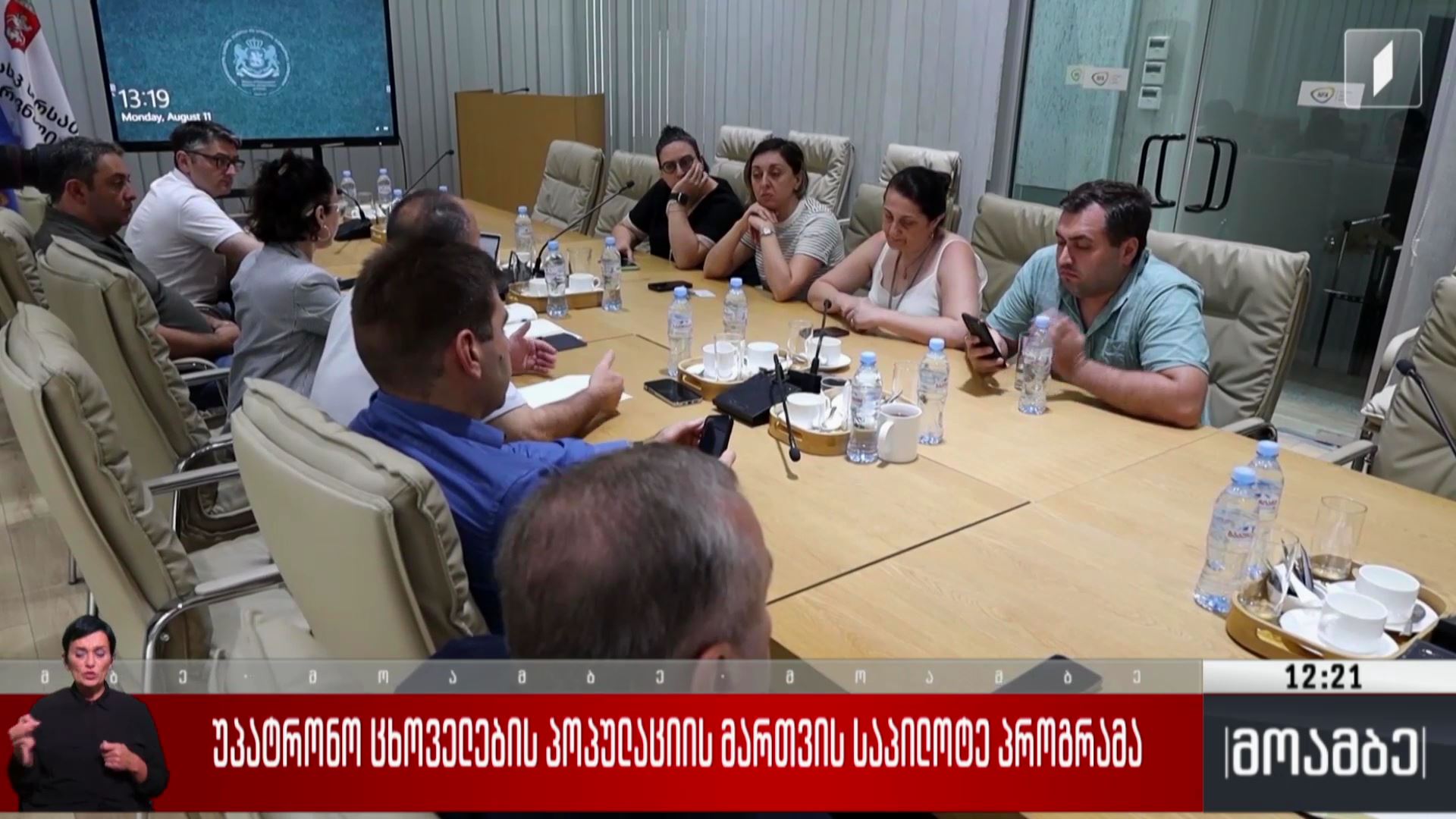 უპატრონო ცხოველების პოპულაციის მართვის საპილოტე პროგრამა