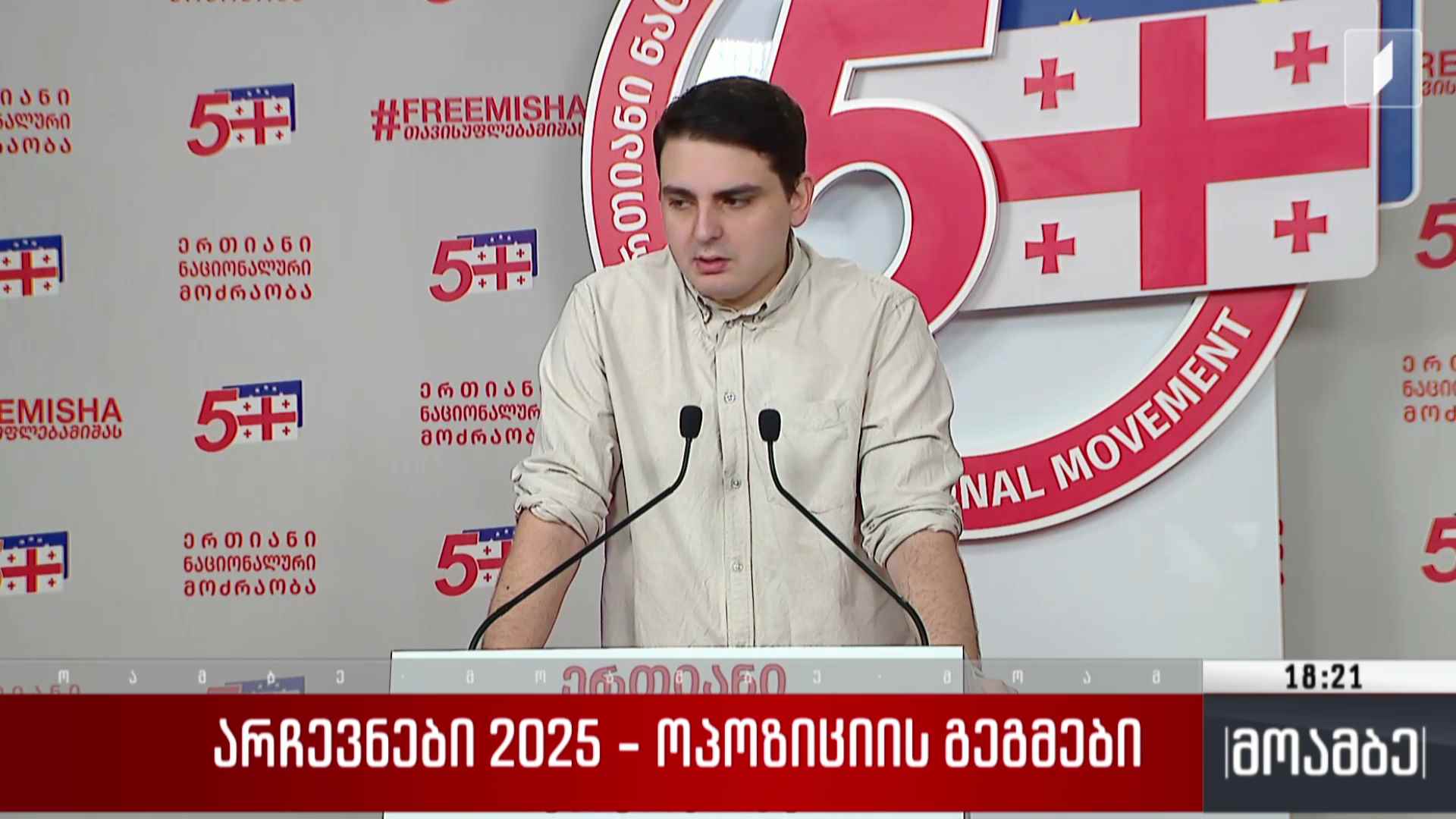 არჩევნები 2025 - ოპოზიციის გეგმები 