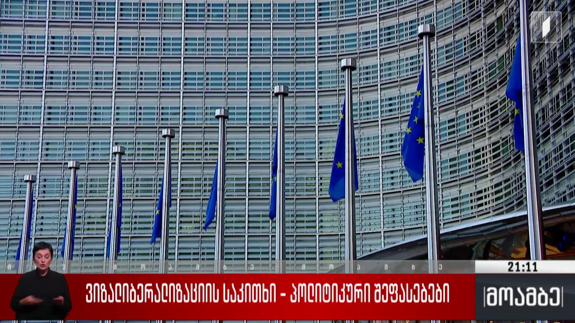 ვიზალიბერალიზაციის საკითხი - პოლიტიკური შეფასებები