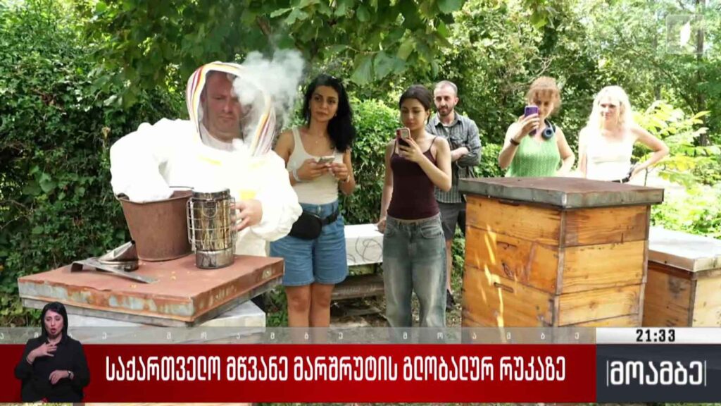 საქართველო მწვანე მარშრუტის გლობალურ რუკაზე