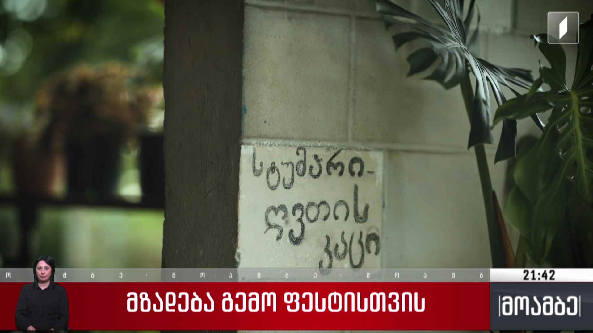 მზადება გემოფესტისთვის