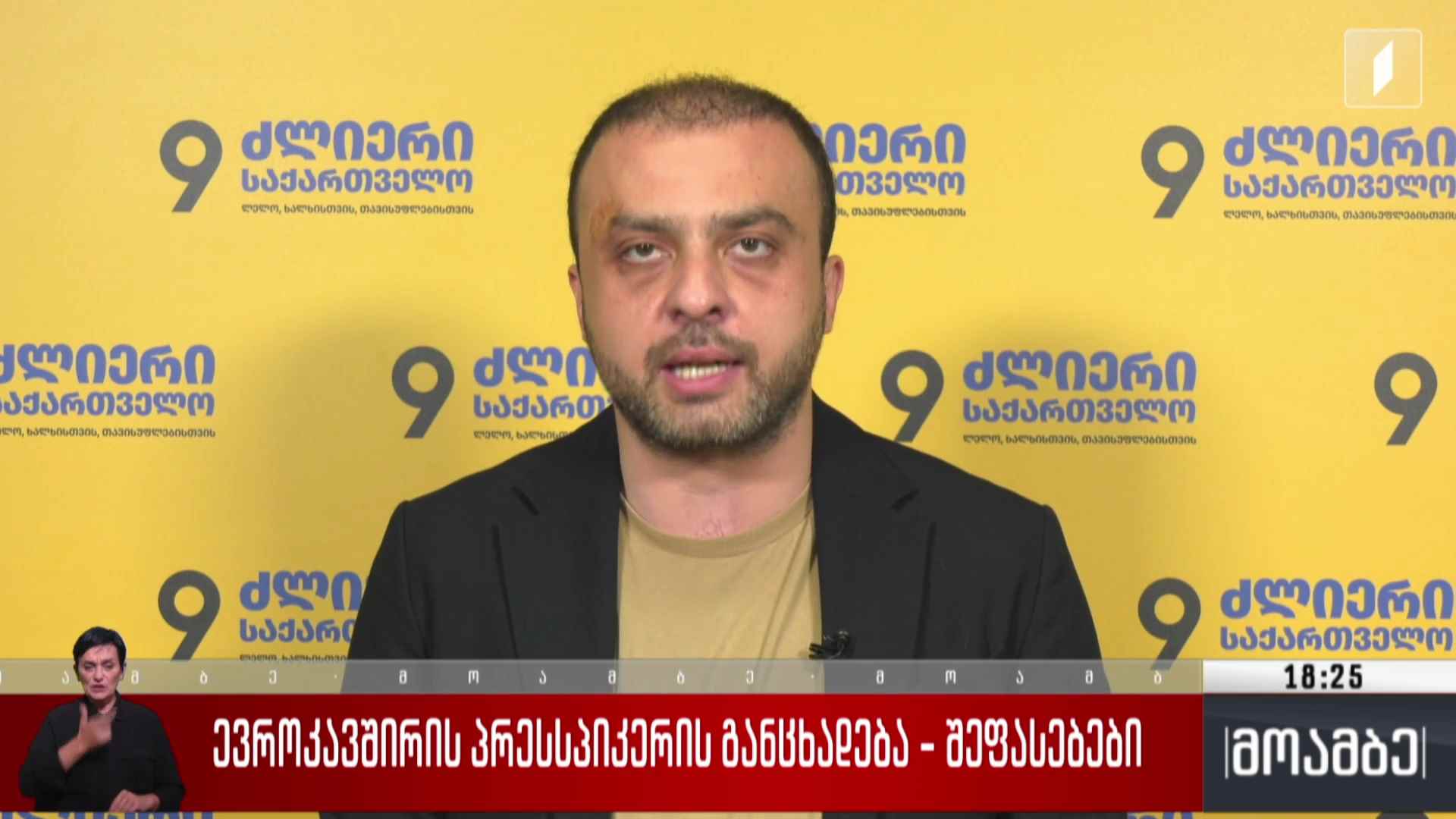 ევროკავშირის პრესსპიკერის განცხადება - შეფასებები