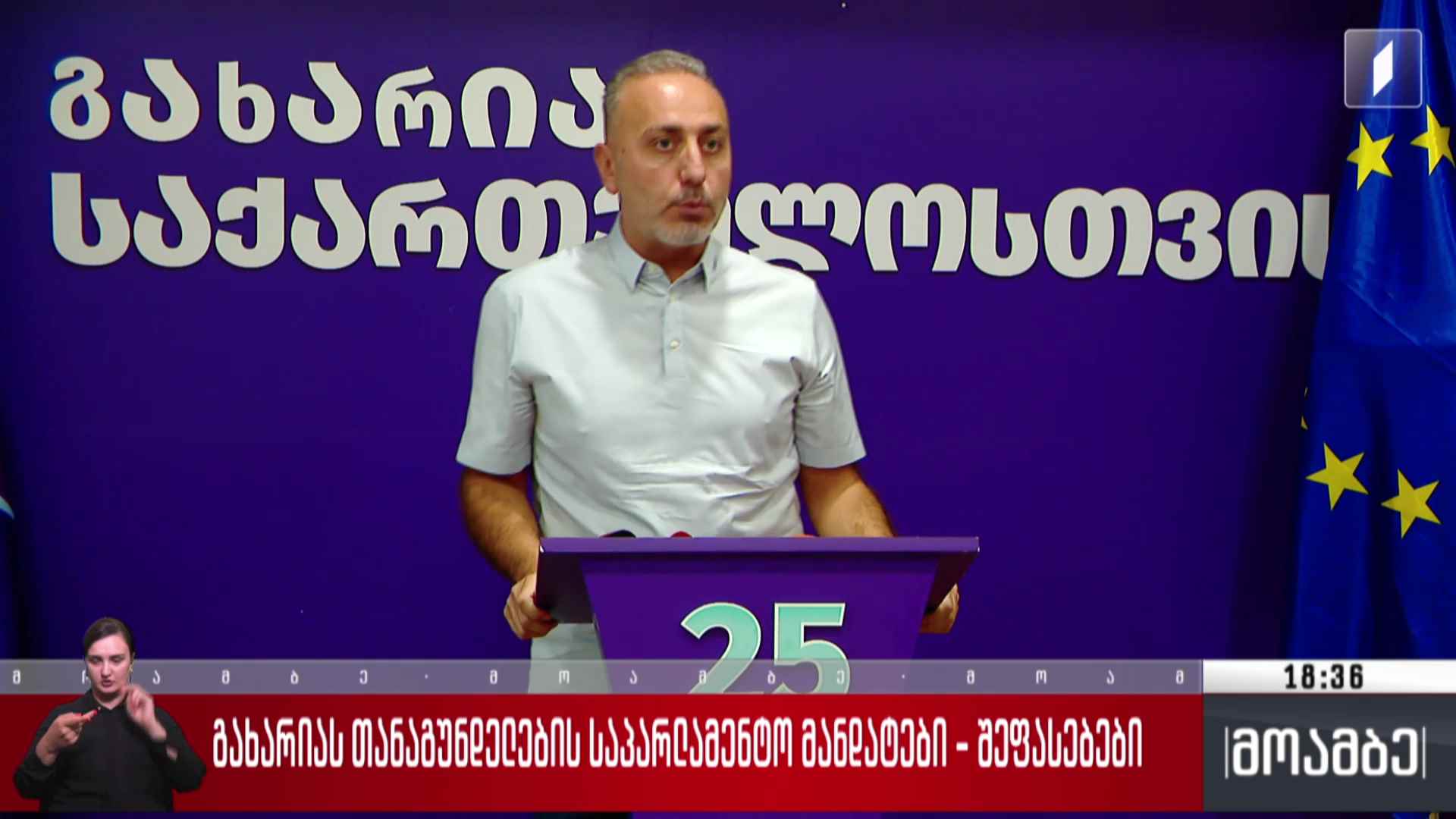 გახარიას თანაგუნდელების საპარლამენტო მანდატები - შეფასებები