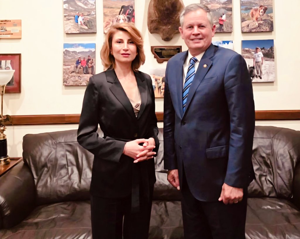 თამარ ტალიაშვილი სენატორ სტივ დეინს შეხვდა