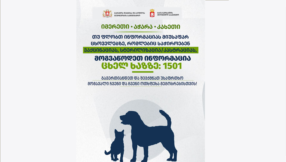 სურსათის ეროვნული სააგენტო - მარტვილში მომხდარმა შემთხვევამ კიდევ ერთხელ ცხადყო, რამდენად მნიშვნელოვანია უპატრონო და მიკედლებული ძაღლების პოპულაციის კონტროლი და ვაქცინაცია