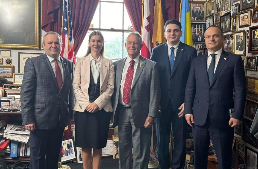 თინა ბოკუჩავა, „ნაციონალური მოძრაობის“ წევრებთან ერთად, ჯო უილსონს შეხვდა