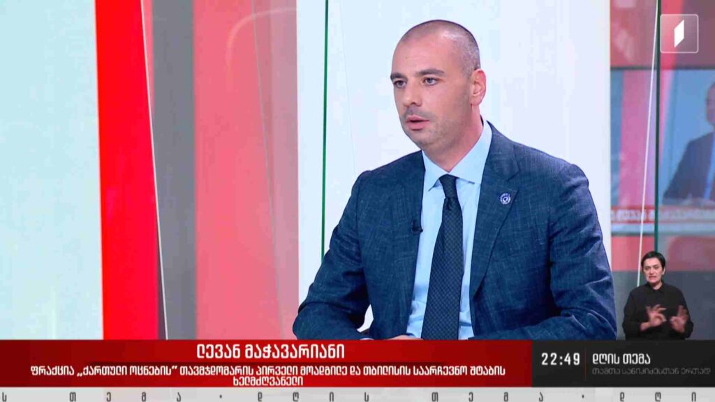 ინტერვიუ ლევან მაჭავარიანთან #დღისთემა