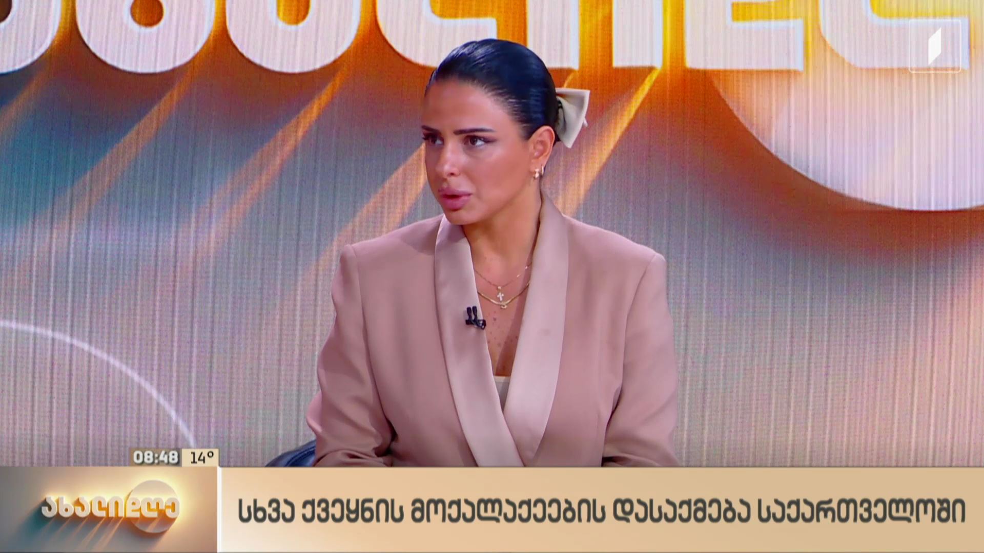 უცხო ქვეყნის მოქალაქეთა დასაქმება საქართველოში