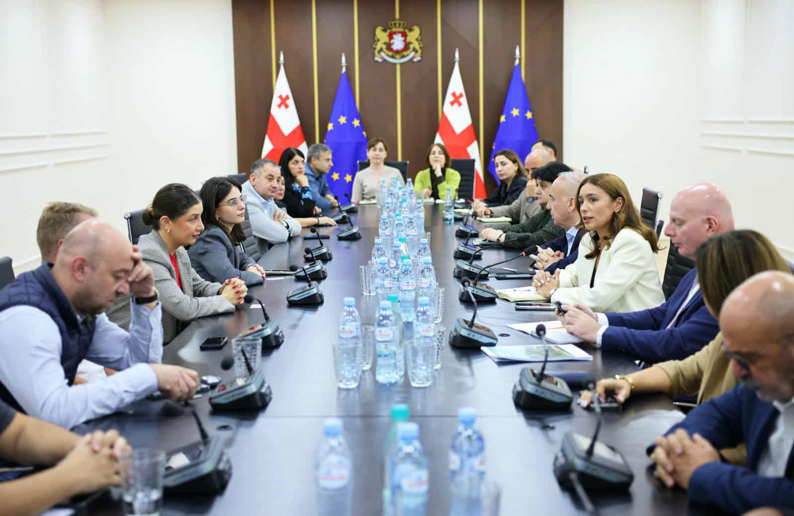 ბიზნესსექტორის წარმომადგენლებთან ერთჯერადი გამოყენების პლასტიკის მოხმარების რეგულირების საკითხებზე სამუშაო შეხვედრა გაიმართა