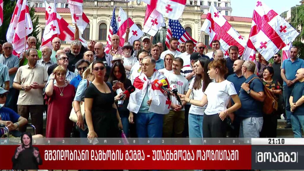 მშვიდობიანი დამხობის გეგმა – უთანხმოება ოპოზიციაში 