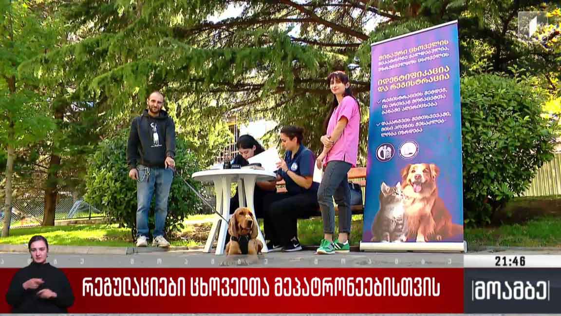 რეგულაციები ცხოველთა მეპატრონეებისთვის 