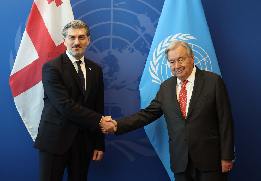 მიხეილ ყაველაშვილი ანტონიუ გუტერეშს შეხვდა