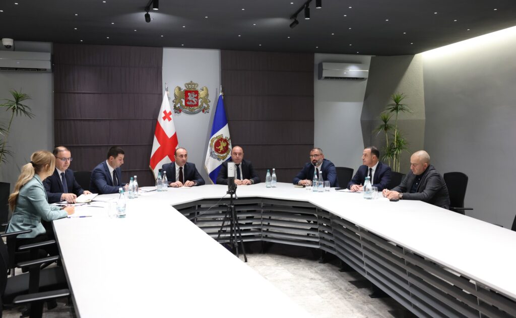 გეკა გელაძემ საზღვარგარეთის ქვეყნებში წარგზავნილ შინაგან საქმეთა სამინისტროს პოლიციის ატაშეებთან ონლაინშეხვედრა გამართა