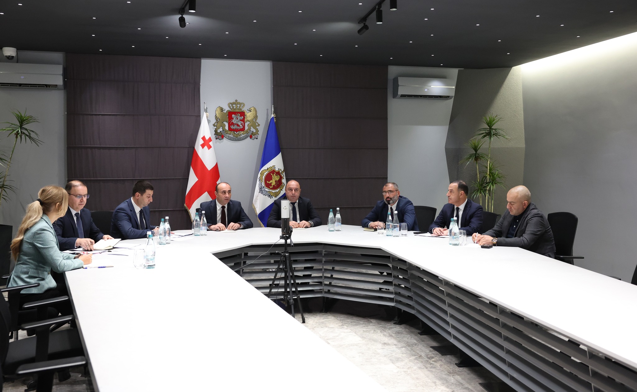 გეკა გელაძემ საზღვარგარეთის ქვეყნებში წარგზავნილ შინაგან საქმეთა სამინისტროს პოლიციის ატაშეებთან ონლაინშეხვედრა გამართა