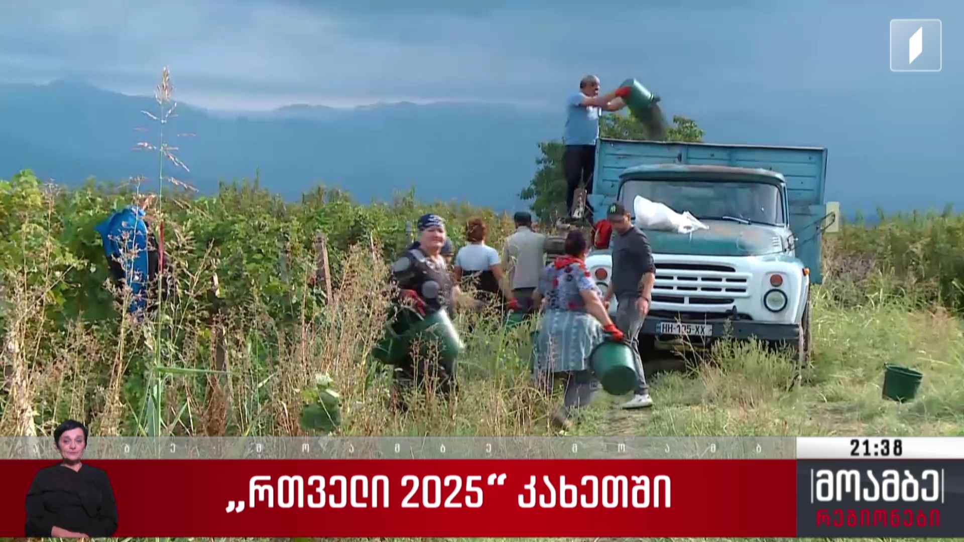„რთველი - 2025“კახეთში
