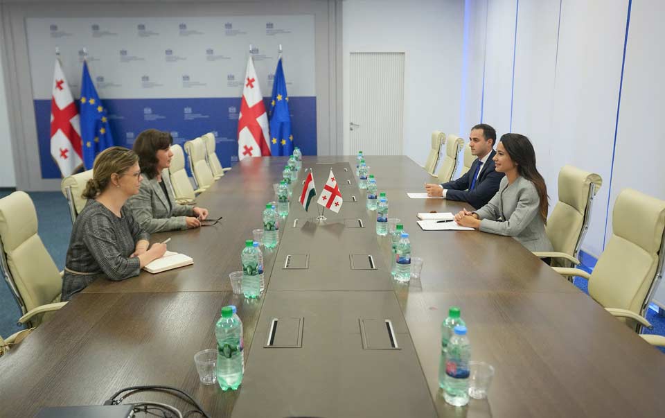 მარიამ ქვრივიშვილი საქართველოში უნგრეთის ახლად დანიშნულ ელჩს შეხვდა