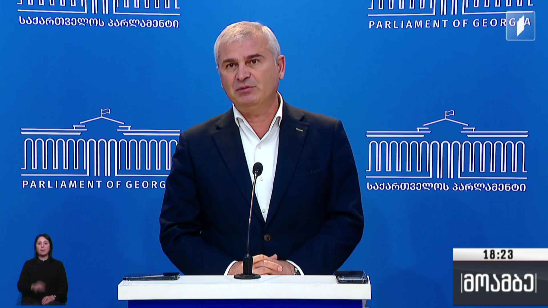 თვითმმართველობის არჩევნები და ოპოზიციის გეგმა 