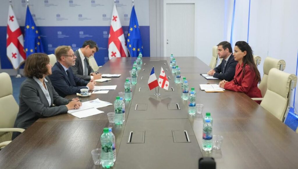 მარიამ ქვრივიშვილმა საფრანგეთის ელჩთან, ოლივიე კურტოსთან გაცნობითი ხასიათის შეხვედრა გამართა