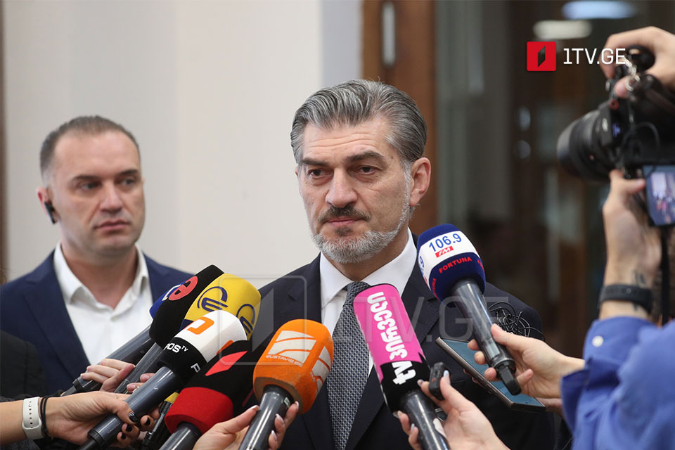 მიხეილ ყაველაშვილი - მინდა, საქართველოს მოქალაქეები გავამხნევო და მადლობა გადავუხადო, რომ არა მათი გონიერება, სიბრძნე, დღეს ჩვენი ქვეყანა განვითარების ამ ეტაპზე არ იქნებოდა