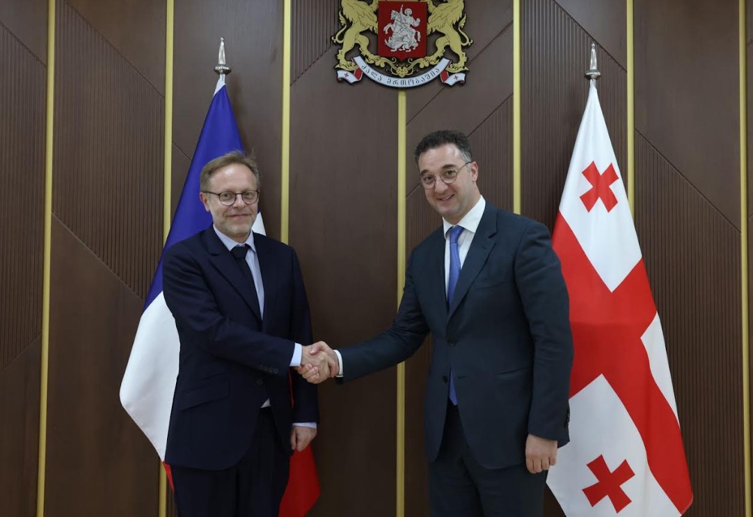 დავით სონღულაშვილი საფრანგეთის ელჩს შეხვდა