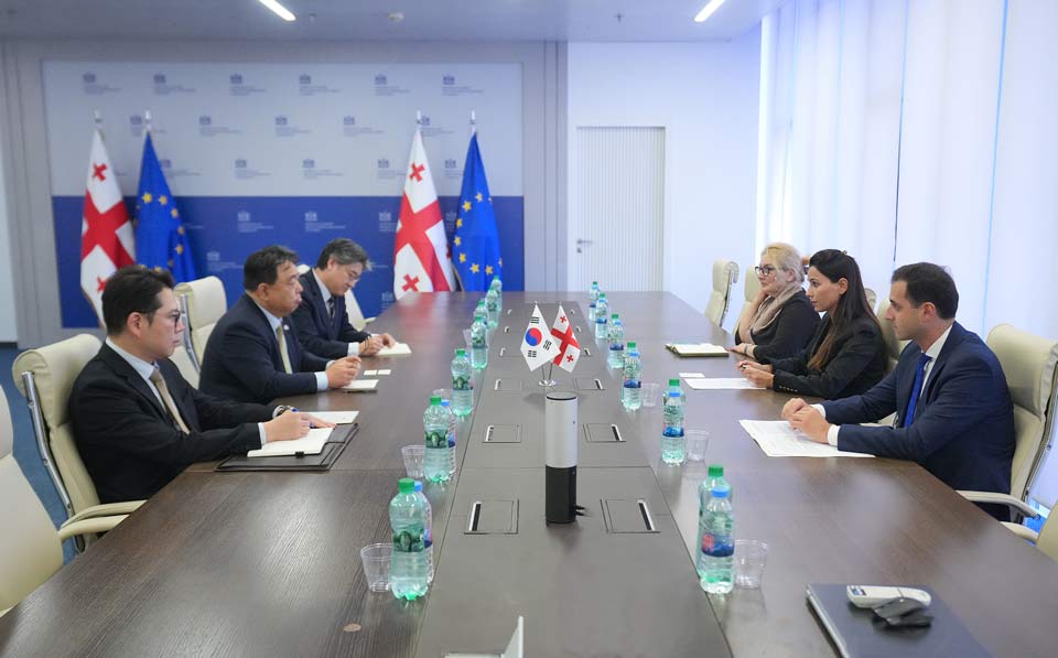 მარიამ ქვრივიშვილი კორეის ელჩს ჰიონდუ კიმის შეხვდა