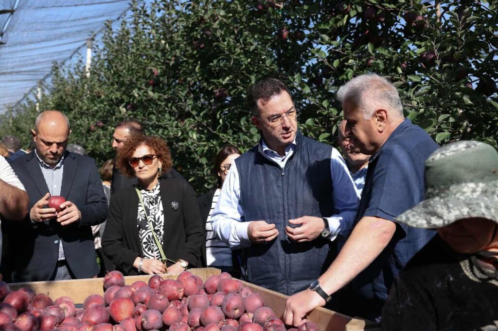 დავით სონღულაშვილი გორის მუნიციპალიტეტში ვაშლის მოსავლის აღების პროცესს გაეცნო