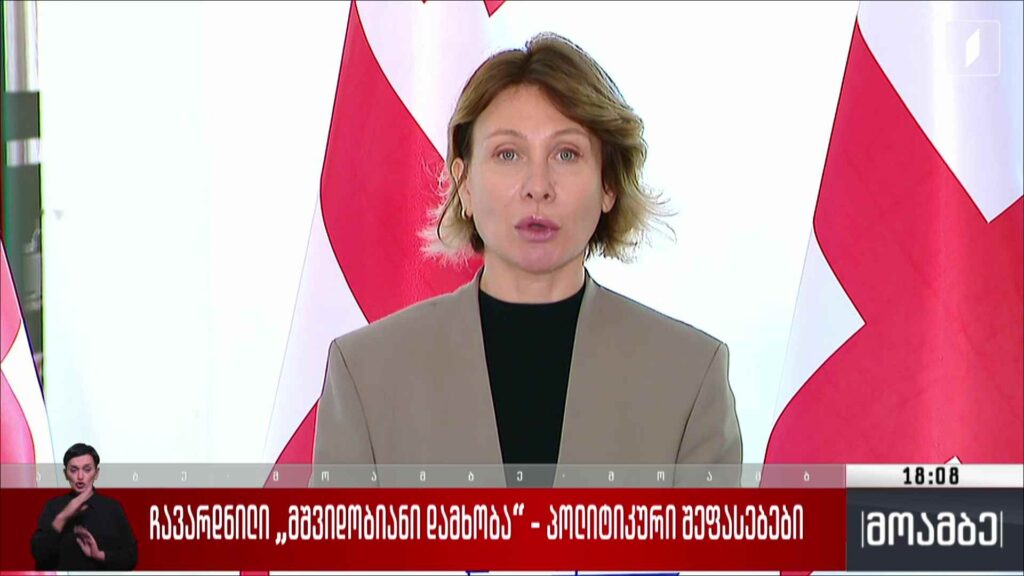 ჩავარდნილი „მშვიდობიანი დამხობა“ – პოლიტიკური შეფასებები