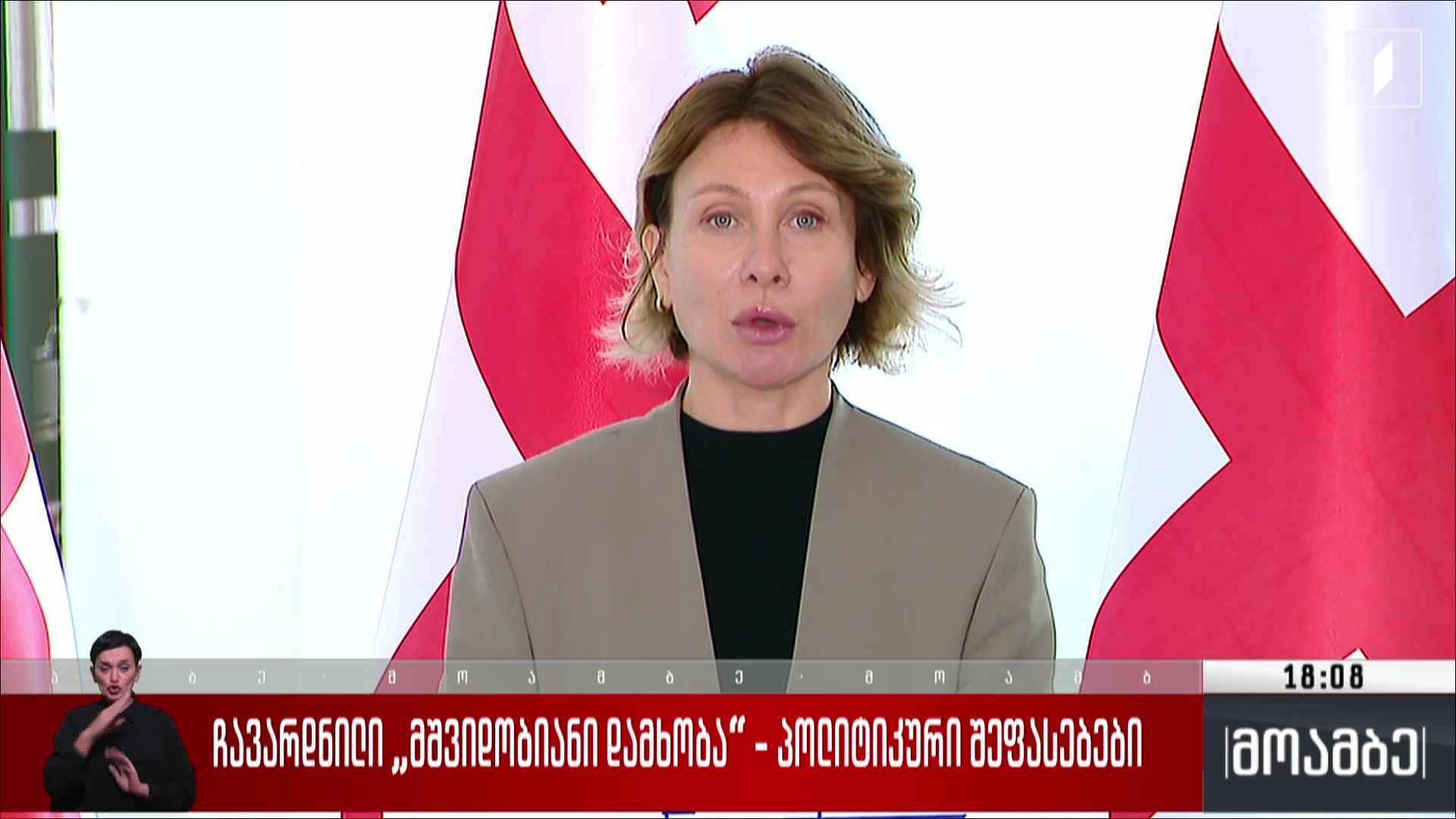 ჩავარდნილი „მშვიდობიანი დამხობა“ - პოლიტიკური შეფასებები