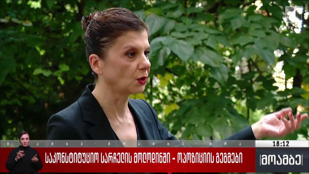 საკონსტიტუციო სარჩელის მოლოდინში – ოპოზიციის გეგმები