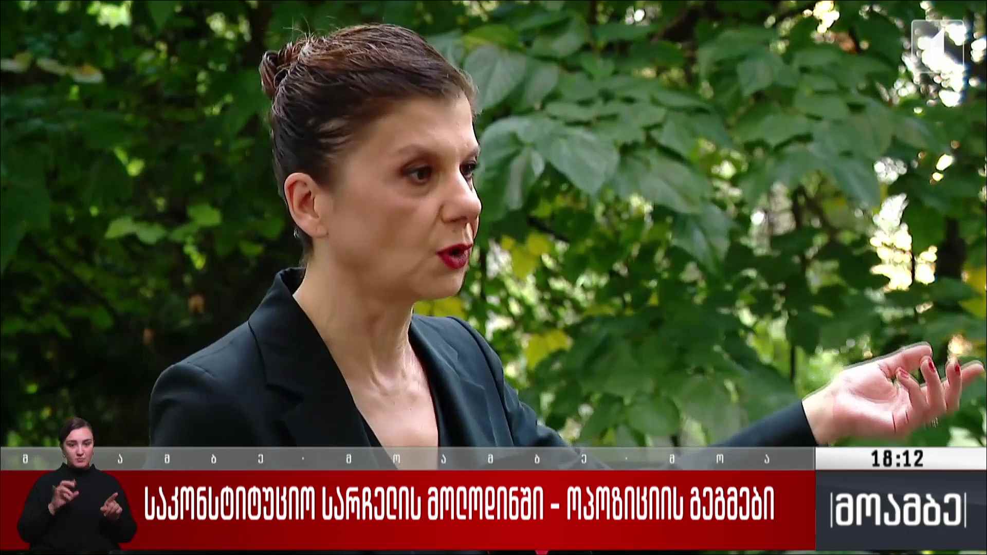 საკონსტიტუციო სარჩელის მოლოდინში - ოპოზიციის გეგმები