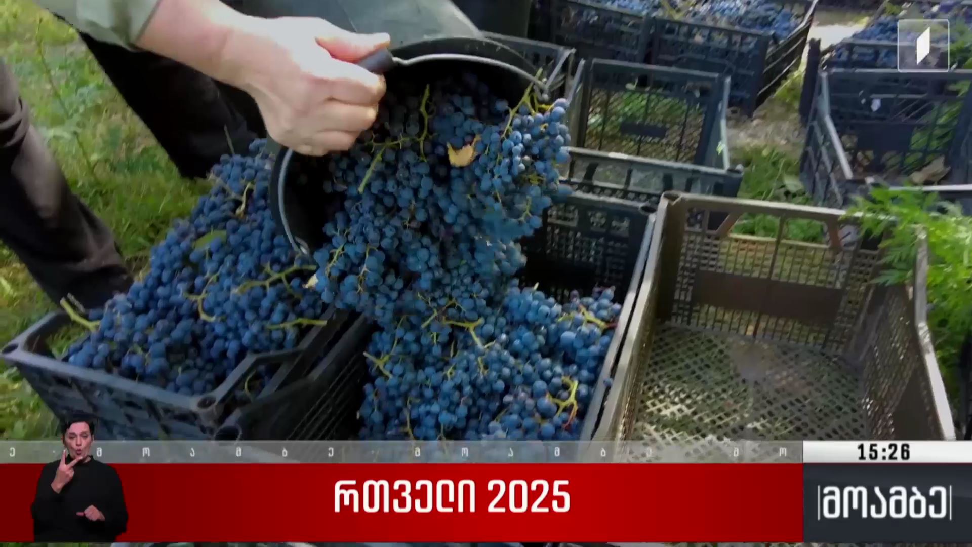 რთველი 2025