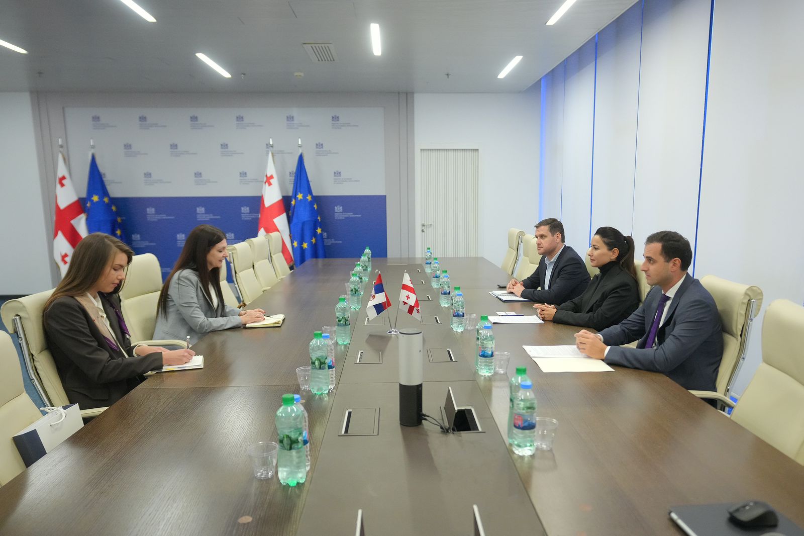 მარიამ ქვრივიშვილი საქართველოში სერბეთის ელჩს შეხვდა