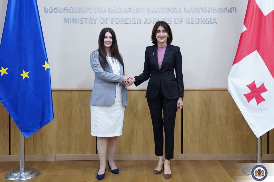 მაკა ბოჭორიშვილი სერბეთის ელჩს შეხვდა
