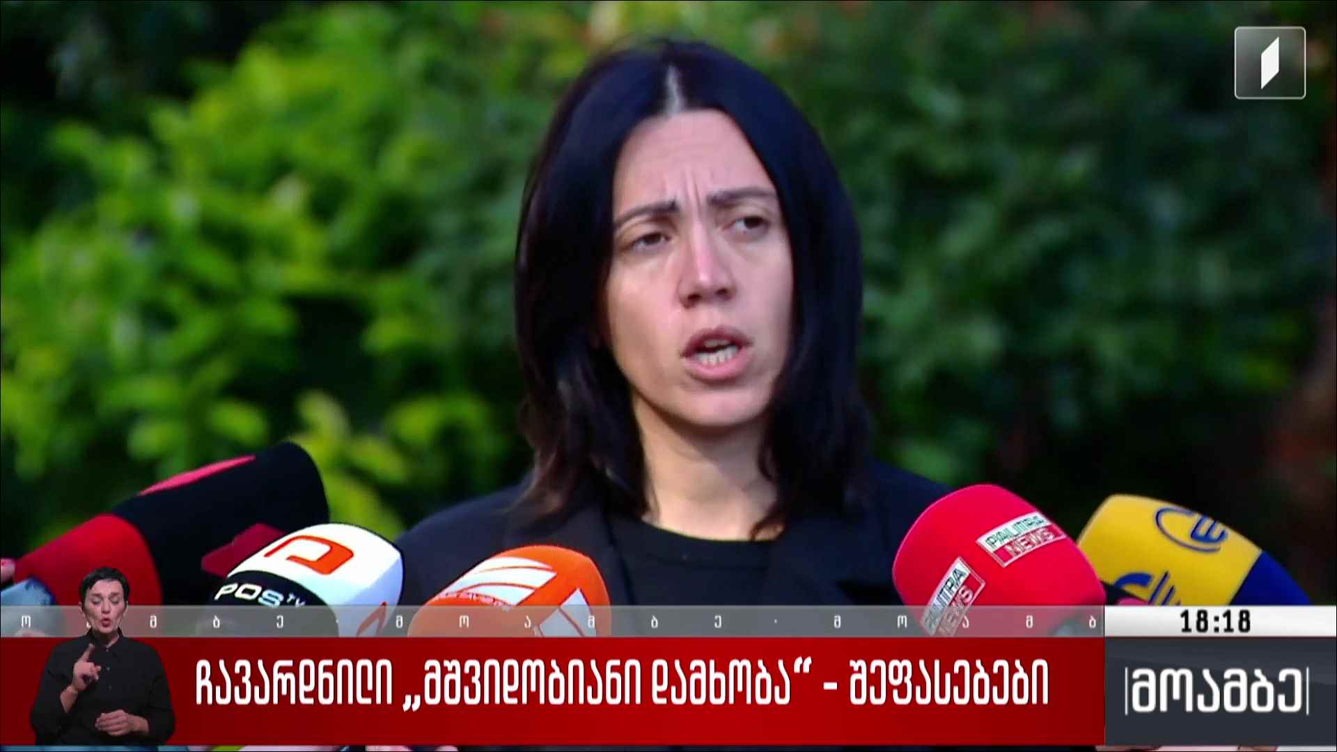 ჩავარდნილი „მშვიდობიანი დამხობა“ - შეფასებები