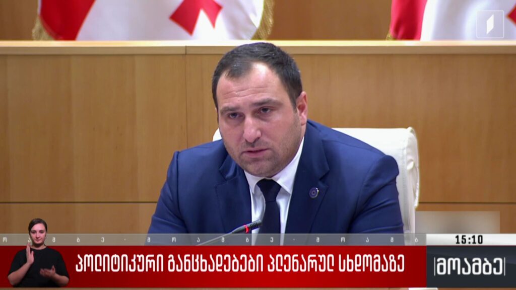 პოლიტიკური განცხადებები პლენარულ სხდომაზე
