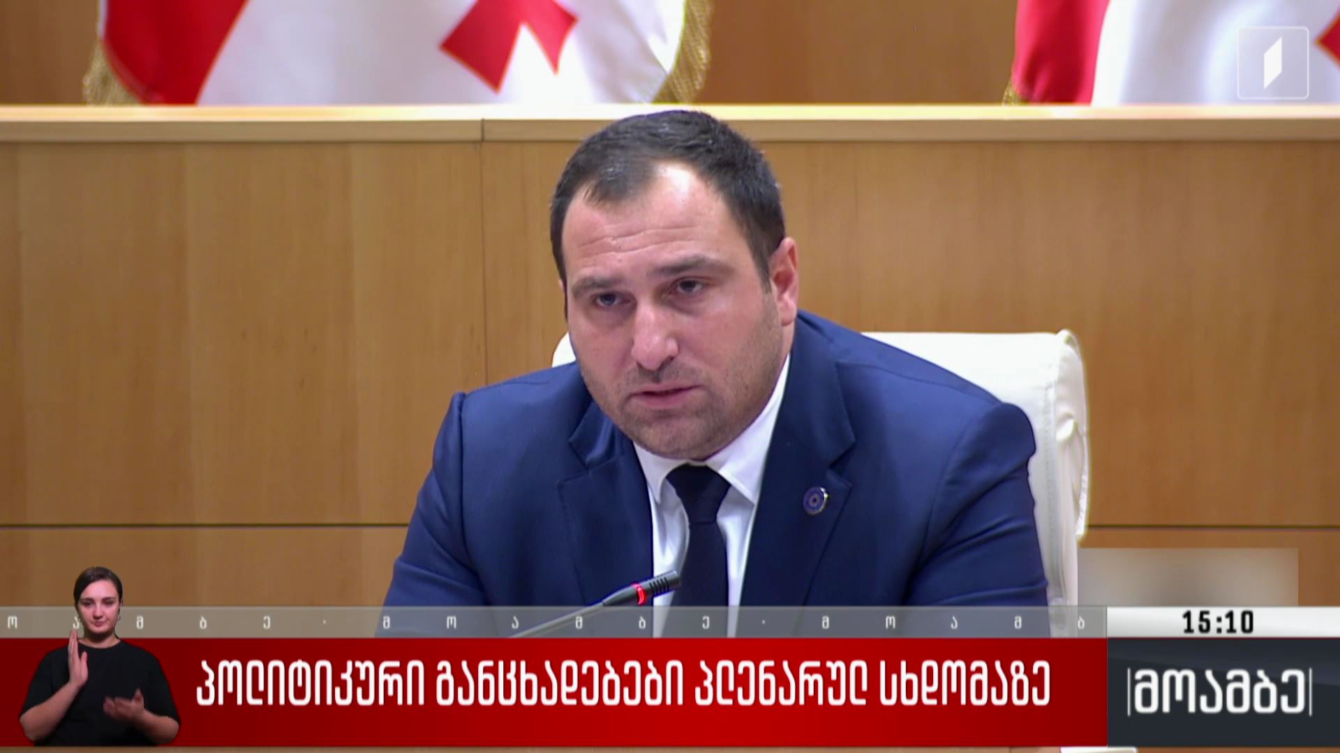 პოლიტიკური განცხადებები პლენარულ სხდომაზე