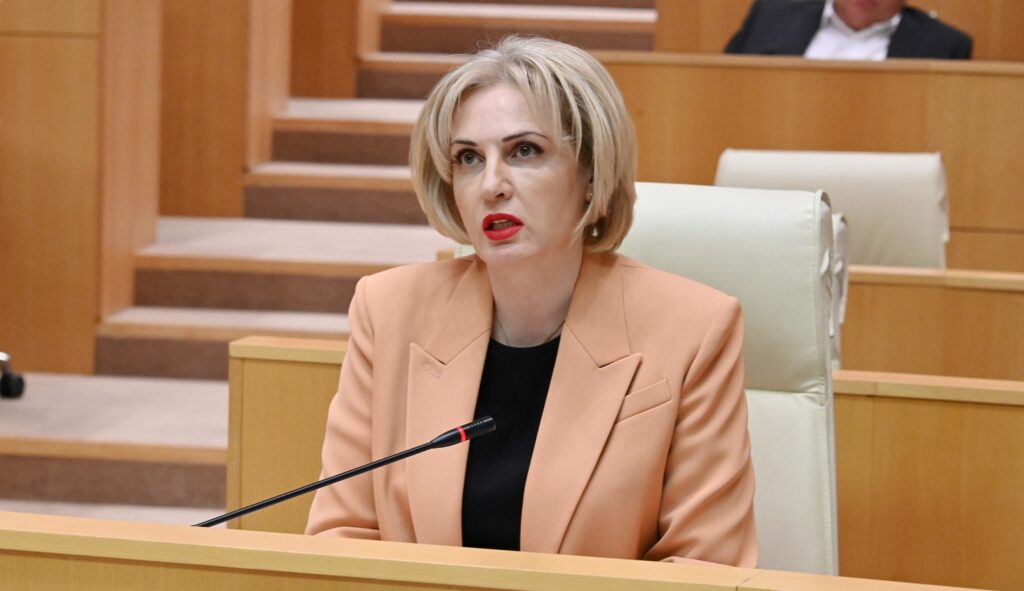 ეკა სეფაშვილი - ევროპული დემოკრატიისთვის დიდი სირცხვილია ევროკომისიის პრესსპიკერის განცხადება, როდესაც ხალხს ე.წ. მშვიდობიან ამბოხში მონაწილეობისკენ მოუწოდებდა