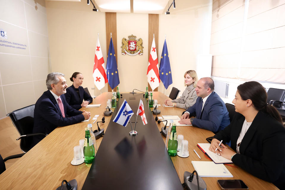 გივი მიქანაძემ ისრაელის ელჩთან გაცნობითი შეხვედრა გამართა
