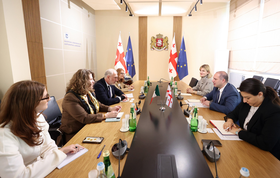 გივი მიქანაძემ იტალიის ელჩთან თანამშრომლობის გაძლიერების საკითხები განიხილა