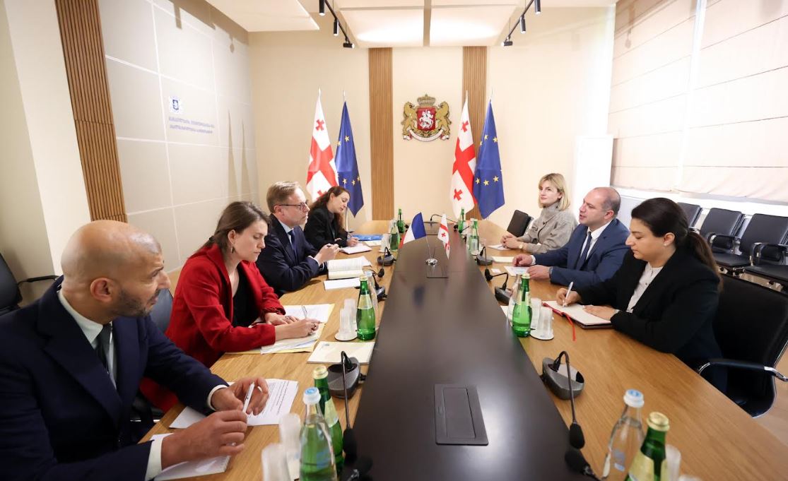 გივი მიქანაძე საფრანგეთის ელჩს, ოლივიე კურტოს შეხვდა