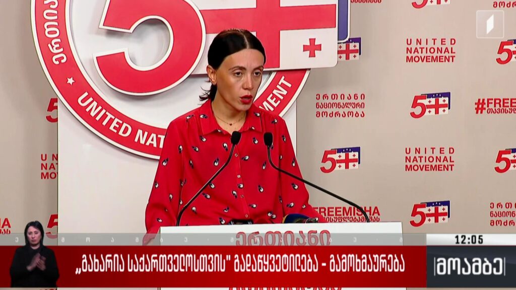 „გახარია საქართველოსთვის“ გადაწყვეტილება – გამოხმაურება