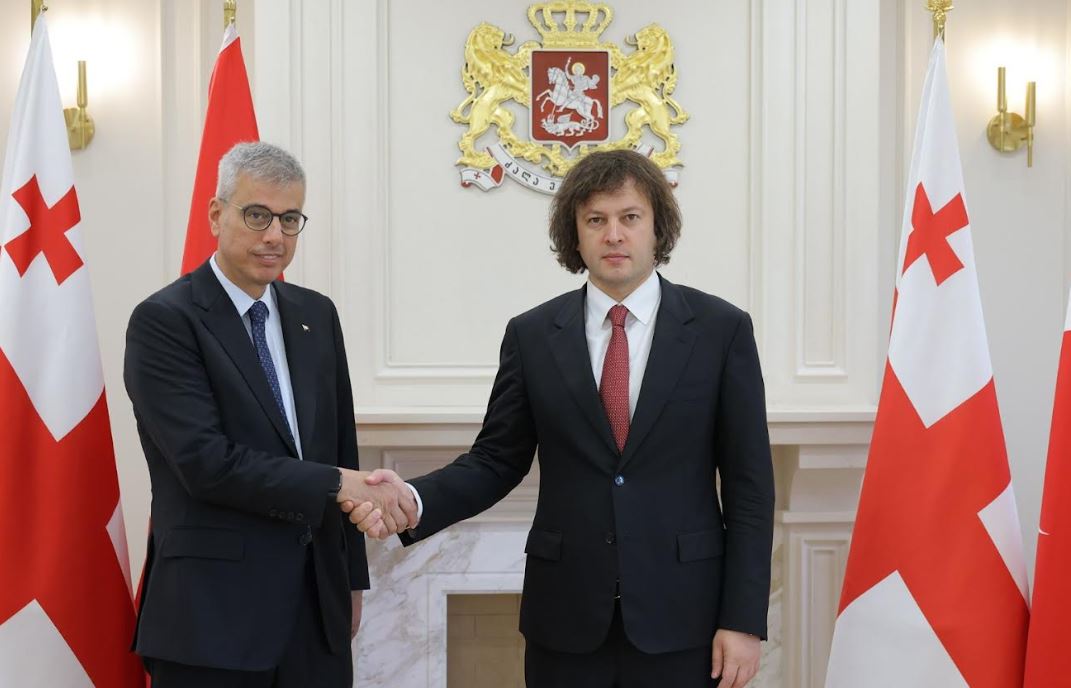 ირაკლი კობახიძე თურქეთის ჯანმრთელობის მინისტრს შეხვდა