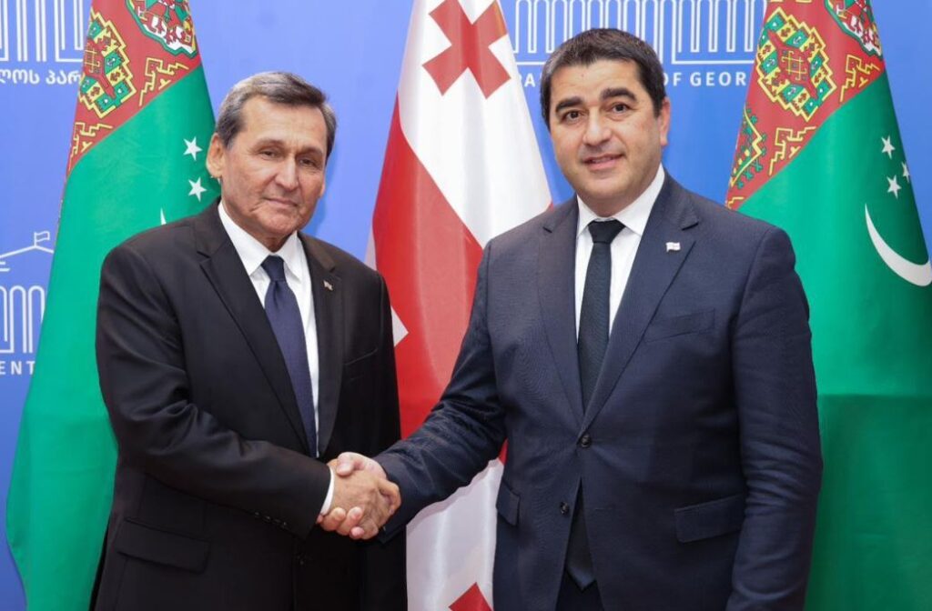 შალვა პაპუაშვილი თურქმენეთის საგარეო საქმეთა მინისტრს შეხვდა