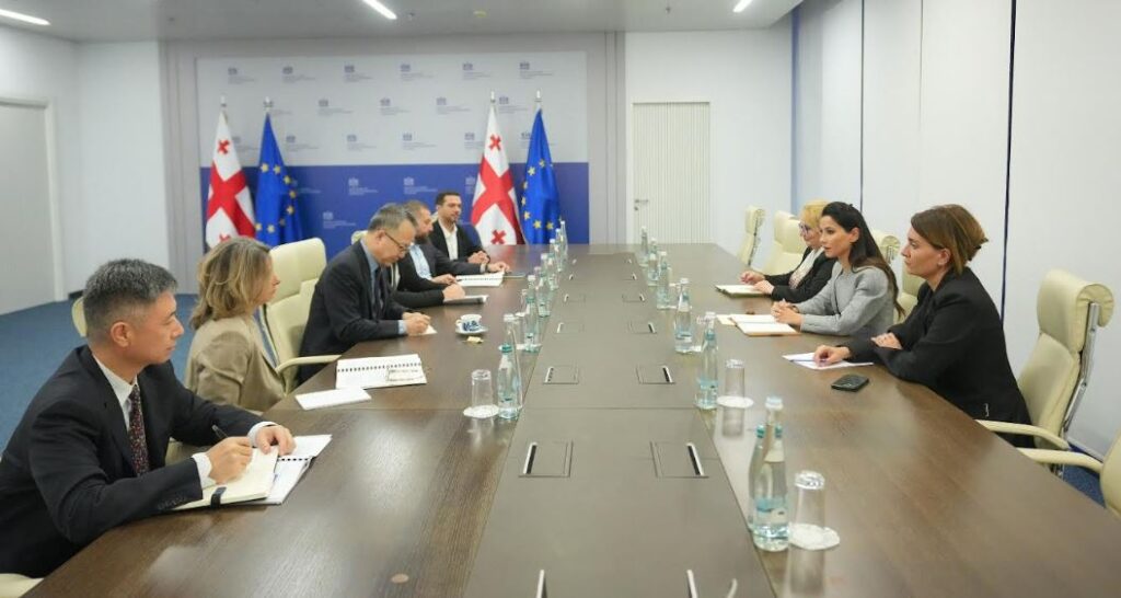 მარიამ ქვრივიშვილმა აზიის განვითარების ბანკის ვიცე-პრეზიდენტთან შუა დერეფნის განვითარება განიხილა