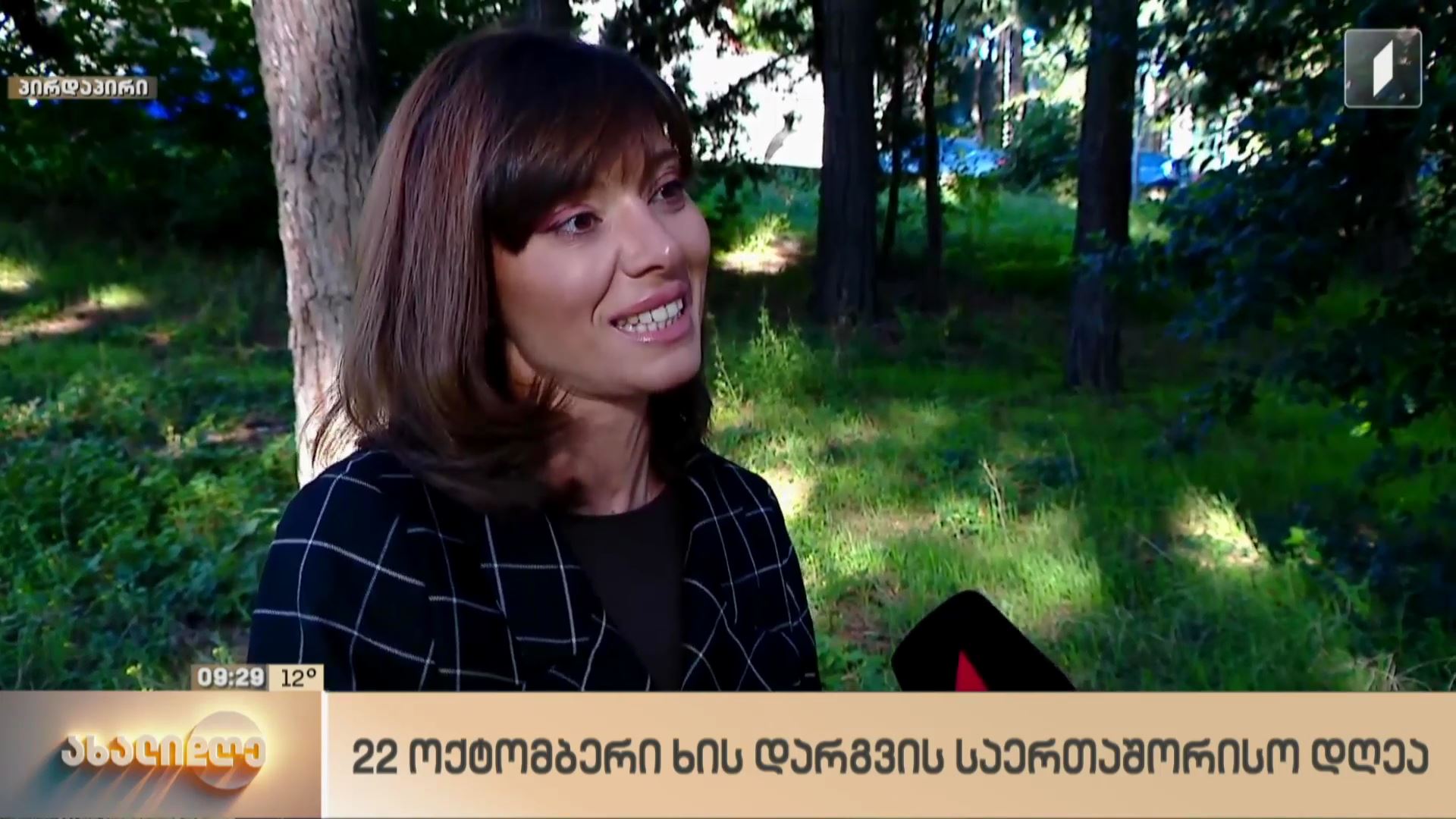 22 ოქტომბერი ხის დარგვის საერთაშორისო დღეა