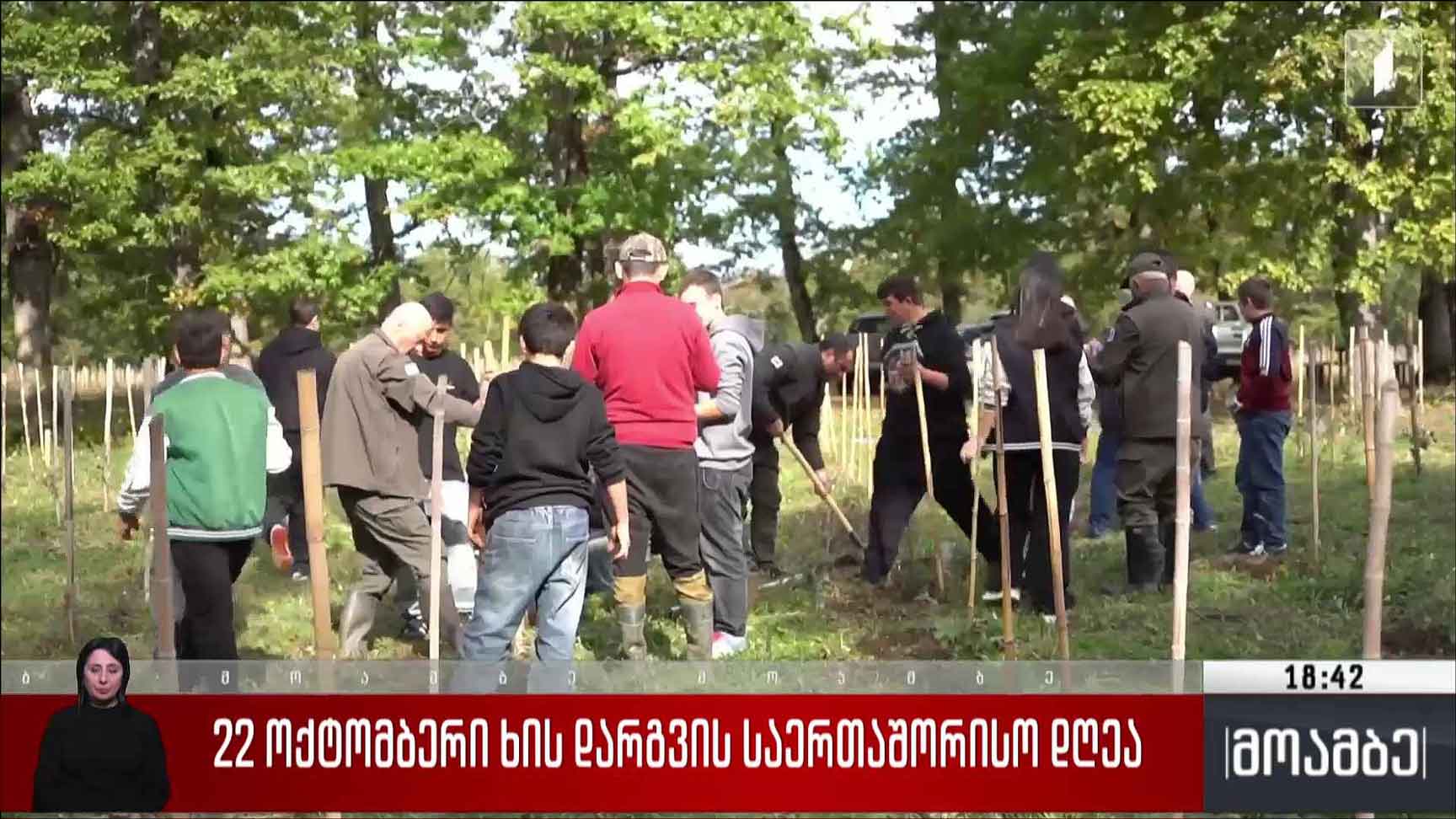 22 ოქტომბერი ხის დარგვის საერთაშორისო დღეა