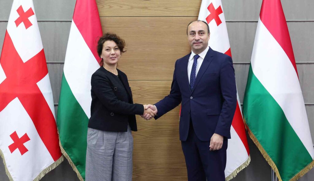შს მინისტრმა უნგრეთის ელჩთან შეხვედრა გამართა
