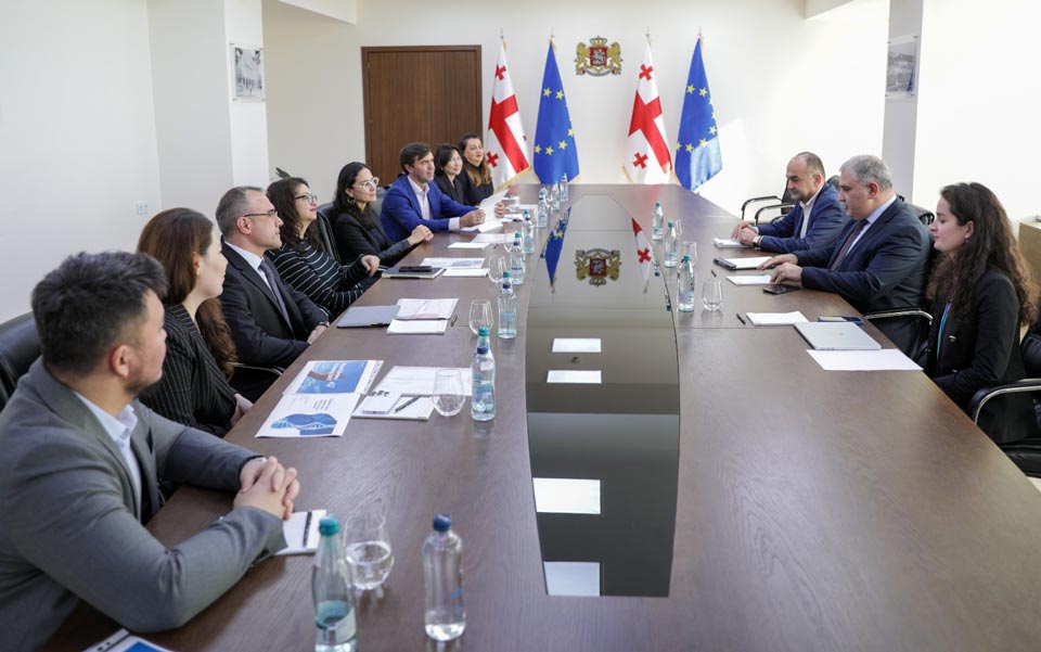 მიხეილ სარჯველაძე შვეიცარიული ფარმაცევტული კომპანიის, „ნოვარტისის“ წარმომადგენლებს შეხვდა