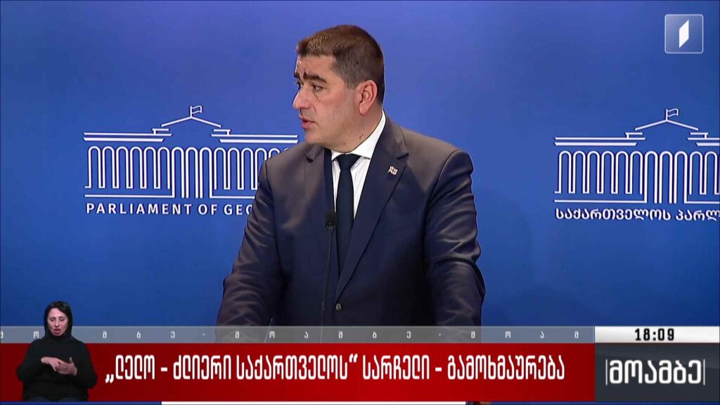 „ძლიერი საქართველო – ლელოს“ სარჩელი – გამოხმაურება